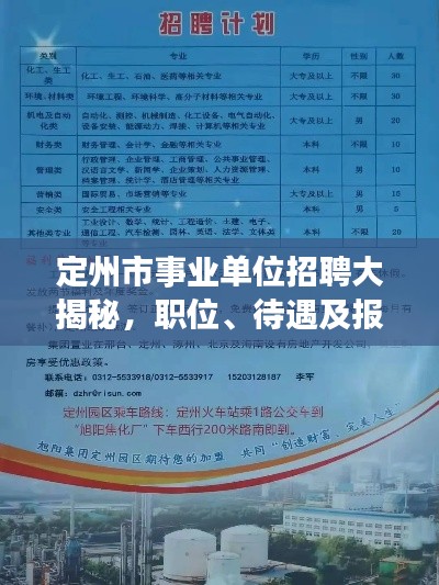 定州市事业单位招聘大揭秘，职位、待遇及报名全攻略！