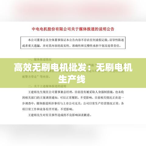 高效无刷电机批发：无刷电机生产线 