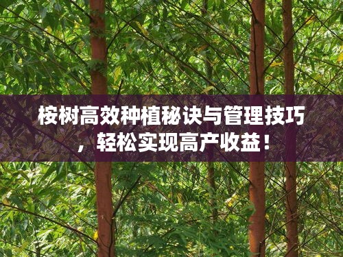 桉树高效种植秘诀与管理技巧，轻松实现高产收益！