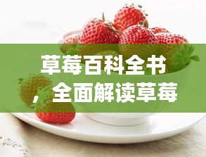 草莓百科全书，全面解读草莓的世界