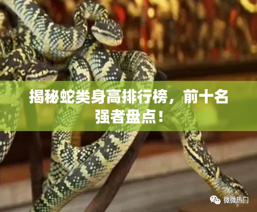萍水相逢 第2页