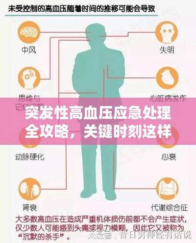 突发性高血压应急处理全攻略，关键时刻这样做！