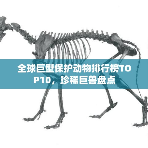 鸡飞狗跳 第2页