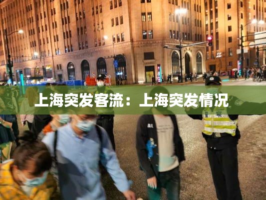 上海突发客流：上海突发情况 