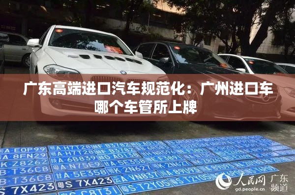 广东高端进口汽车规范化：广州进口车哪个车管所上牌 