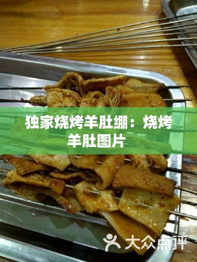 独家烧烤羊肚绷：烧烤羊肚图片 