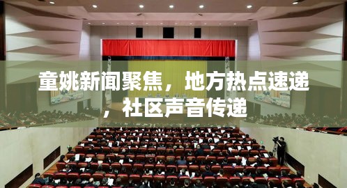 童姚新闻聚焦，地方热点速递，社区声音传递