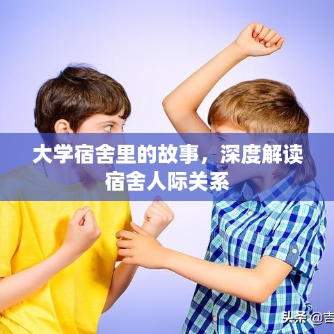 大学宿舍里的故事，深度解读宿舍人际关系
