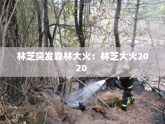 林芝突发森林大火：林芝大火2020 