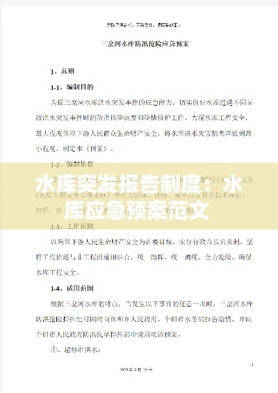 水库突发报告制度：水库应急预案范文 