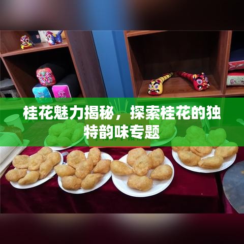 桂花魅力揭秘，探索桂花的独特韵味专题