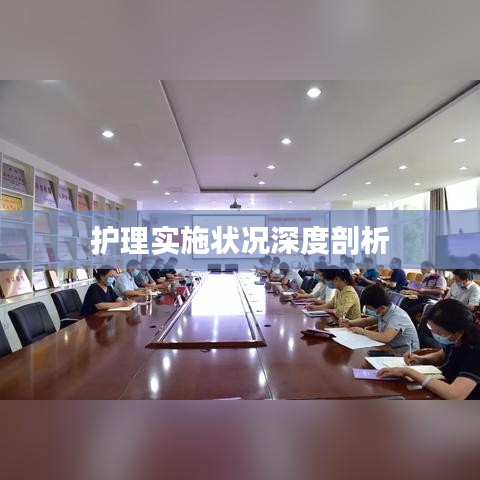 护理实施状况深度剖析