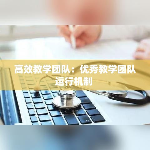 高效教学团队：优秀教学团队运行机制 
