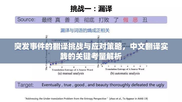 突发事件的翻译挑战与应对策略，中文翻译实践的关键考量解析