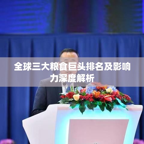 全球三大粮食巨头排名及影响力深度解析