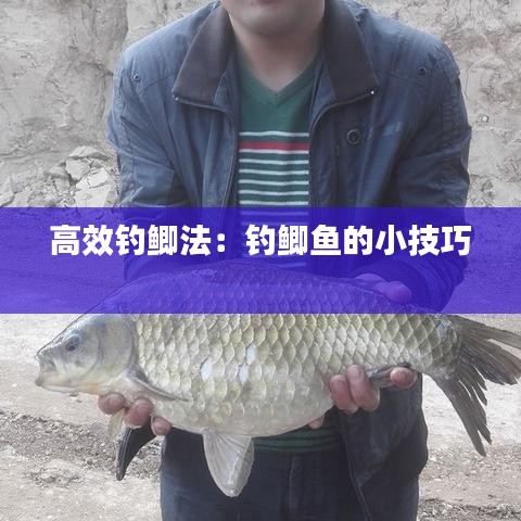 高效钓鲫法：钓鲫鱼的小技巧 