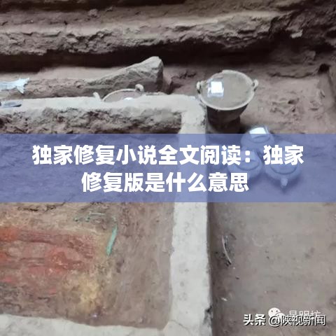 独家修复小说全文阅读：独家修复版是什么意思 