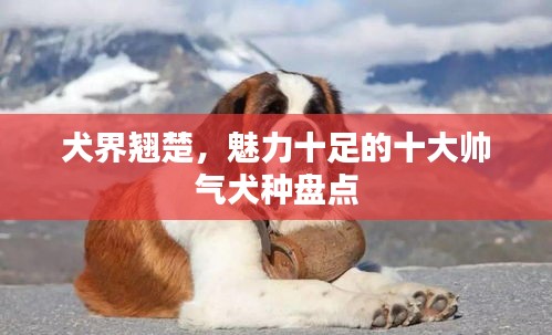 笔走龙蛇 第2页