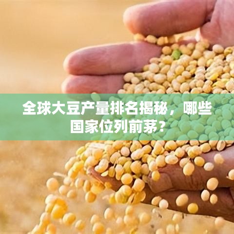 全球大豆产量排名揭秘，哪些国家位列前茅？
