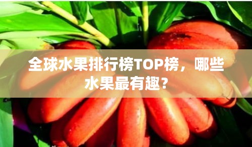 全球水果排行榜TOP榜，哪些水果最有趣？