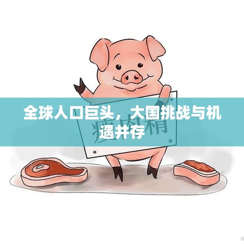 全球人口巨头，大国挑战与机遇并存
