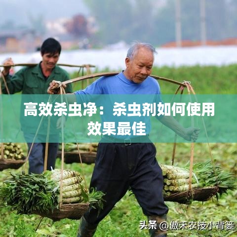 举世无双 第2页