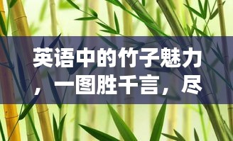 英语中的竹子魅力，一图胜千言，尽显独特风采