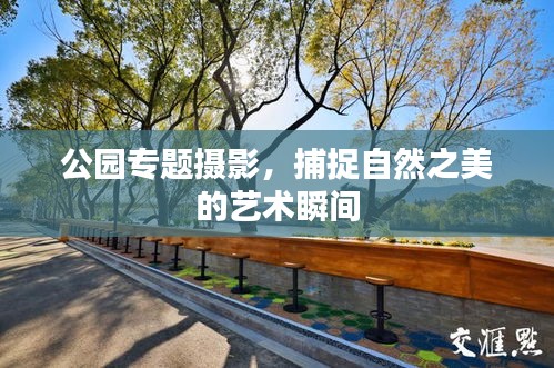 公园专题摄影，捕捉自然之美的艺术瞬间