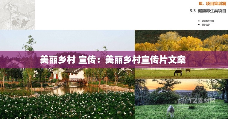 美丽乡村 宣传：美丽乡村宣传片文案 