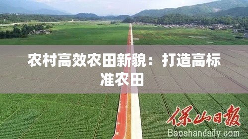 农村高效农田新貌：打造高标准农田 