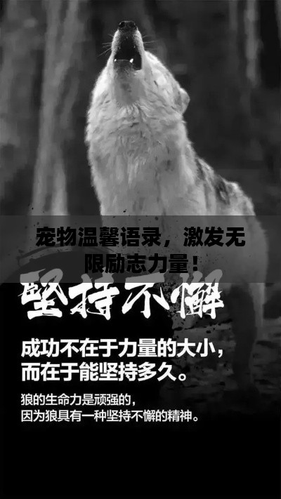 宠物温馨语录，激发无限励志力量！