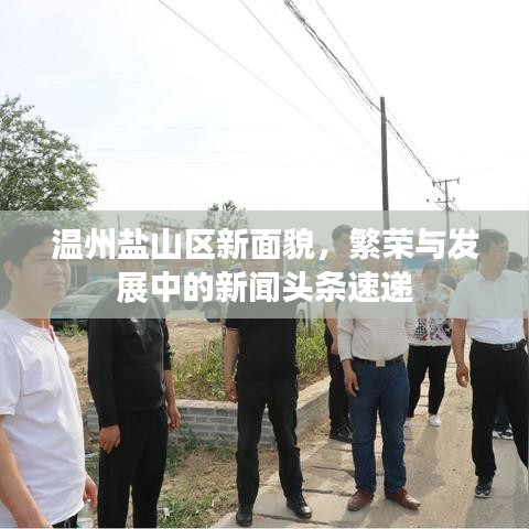 温州盐山区新面貌，繁荣与发展中的新闻头条速递
