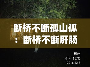 断桥不断孤山孤：断桥不断肝肠断,孤山不孤君心孤的下一句 