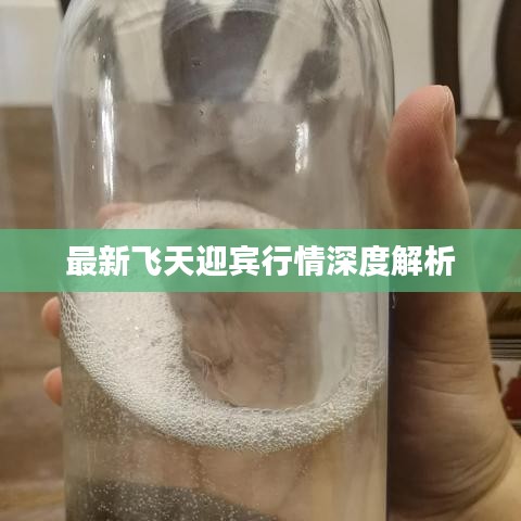 最新飞天迎宾行情深度解析