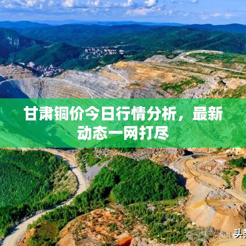 甘肃铜价今日行情分析，最新动态一网打尽