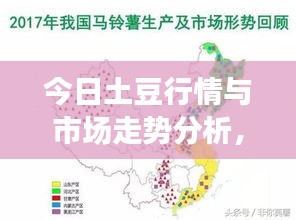 今日土豆行情与市场走势分析，最新价格动态揭秘