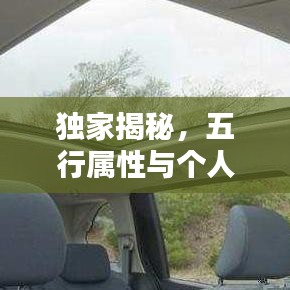 独家揭秘，五行属性与个人特质，宇宙能量的神秘联系