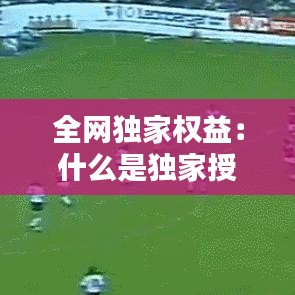 全网独家权益：什么是独家授权 