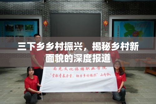 三下乡乡村振兴，揭秘乡村新面貌的深度报道