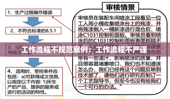 工作流程不规范案例：工作流程不严谨 