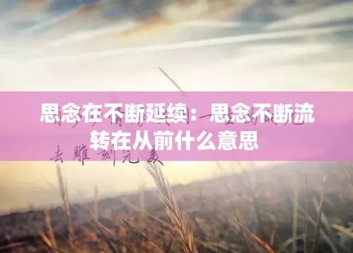 思念在不断延续：思念不断流转在从前什么意思 