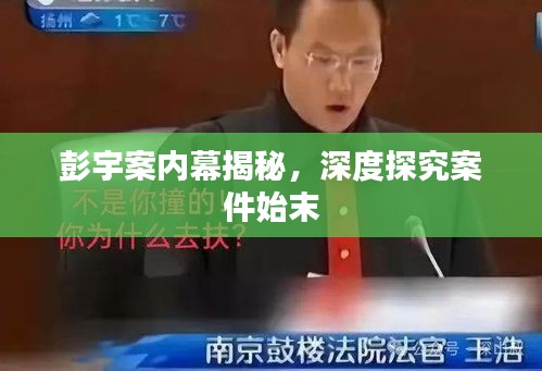 彭宇案内幕揭秘，深度探究案件始末