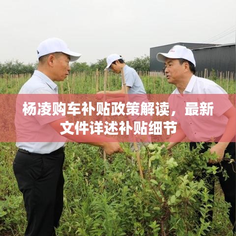 杨凌购车补贴政策解读，最新文件详述补贴细节