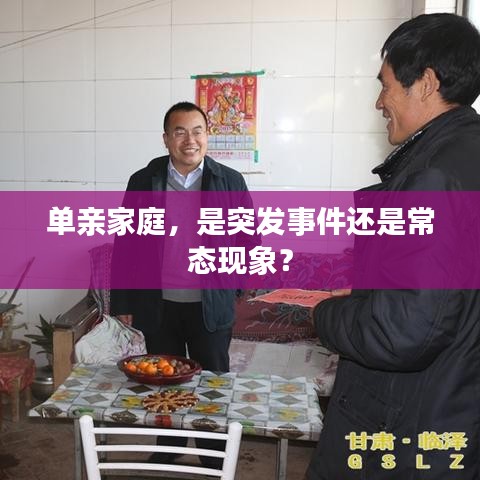 单亲家庭，是突发事件还是常态现象？