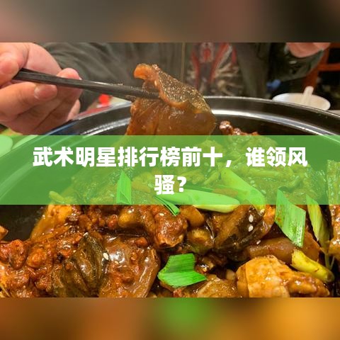 武术明星排行榜前十，谁领风骚？
