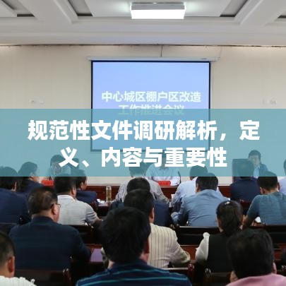 规范性文件调研解析，定义、内容与重要性