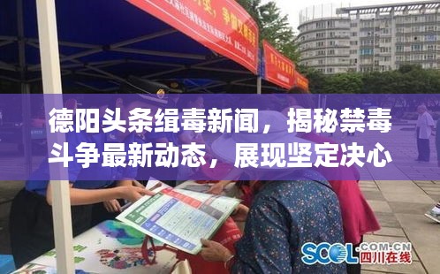 德阳头条缉毒新闻，揭秘禁毒斗争最新动态，展现坚定决心！
