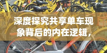 深度探究共享单车现象背后的内在逻辑，城市共享出行的时代启示
