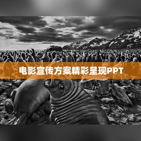 电影宣传方案精彩呈现PPT