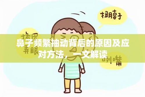 鼻子频繁抽动背后的原因及应对方法，一文解读